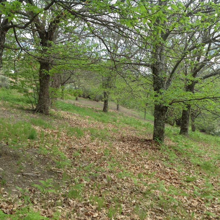 El Mirador De Los Trobos Villar de Otero Zewnętrze zdjęcie